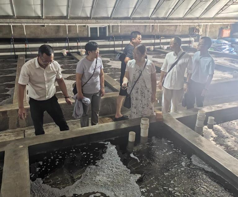 科技賦能，綠色養(yǎng)殖 福建科特派攜手霞浦企業(yè)推動(dòng)海參產(chǎn)業(yè)鏈升級與室內(nèi)環(huán)境治理